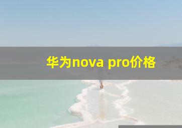 华为nova pro价格